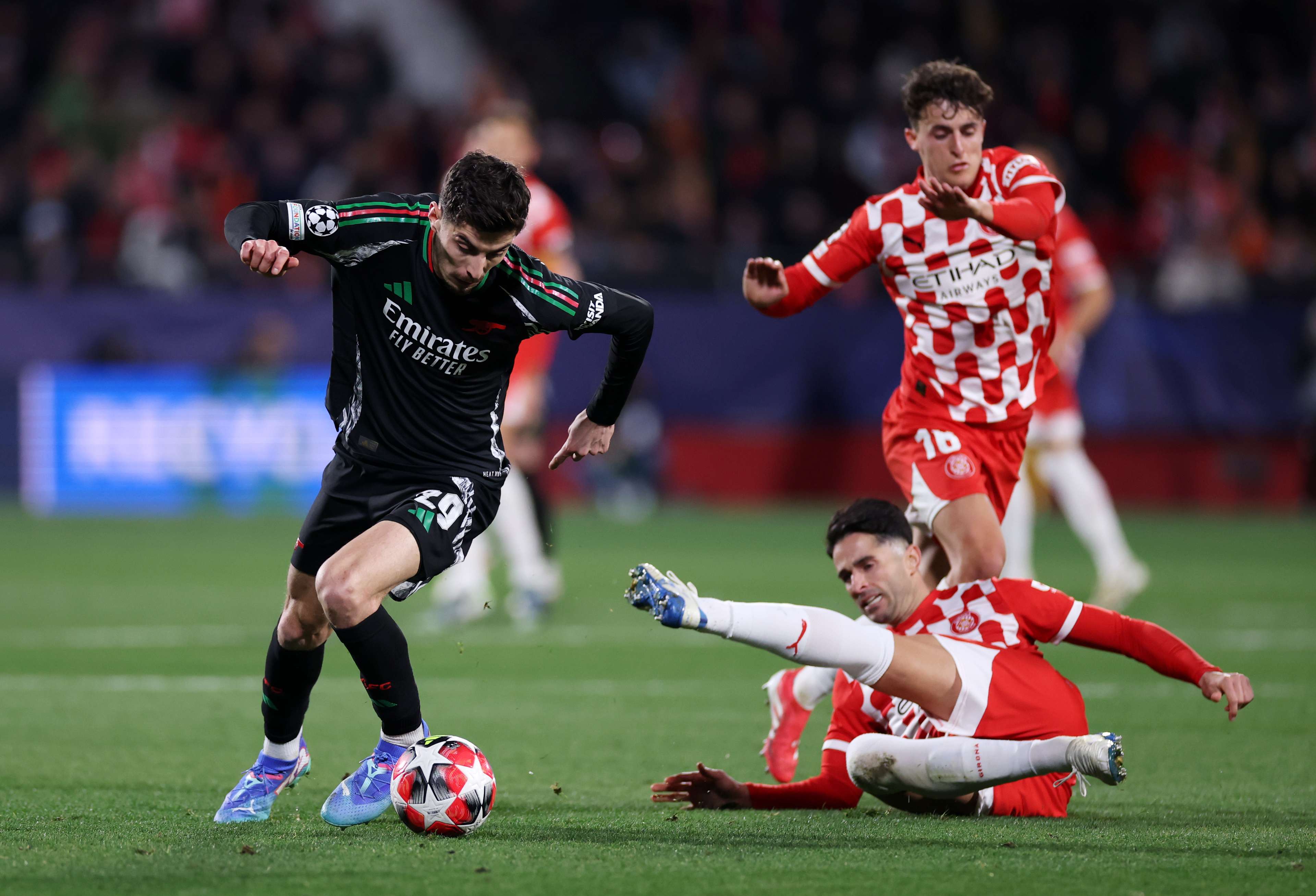 天津津门虎 天津津门虎